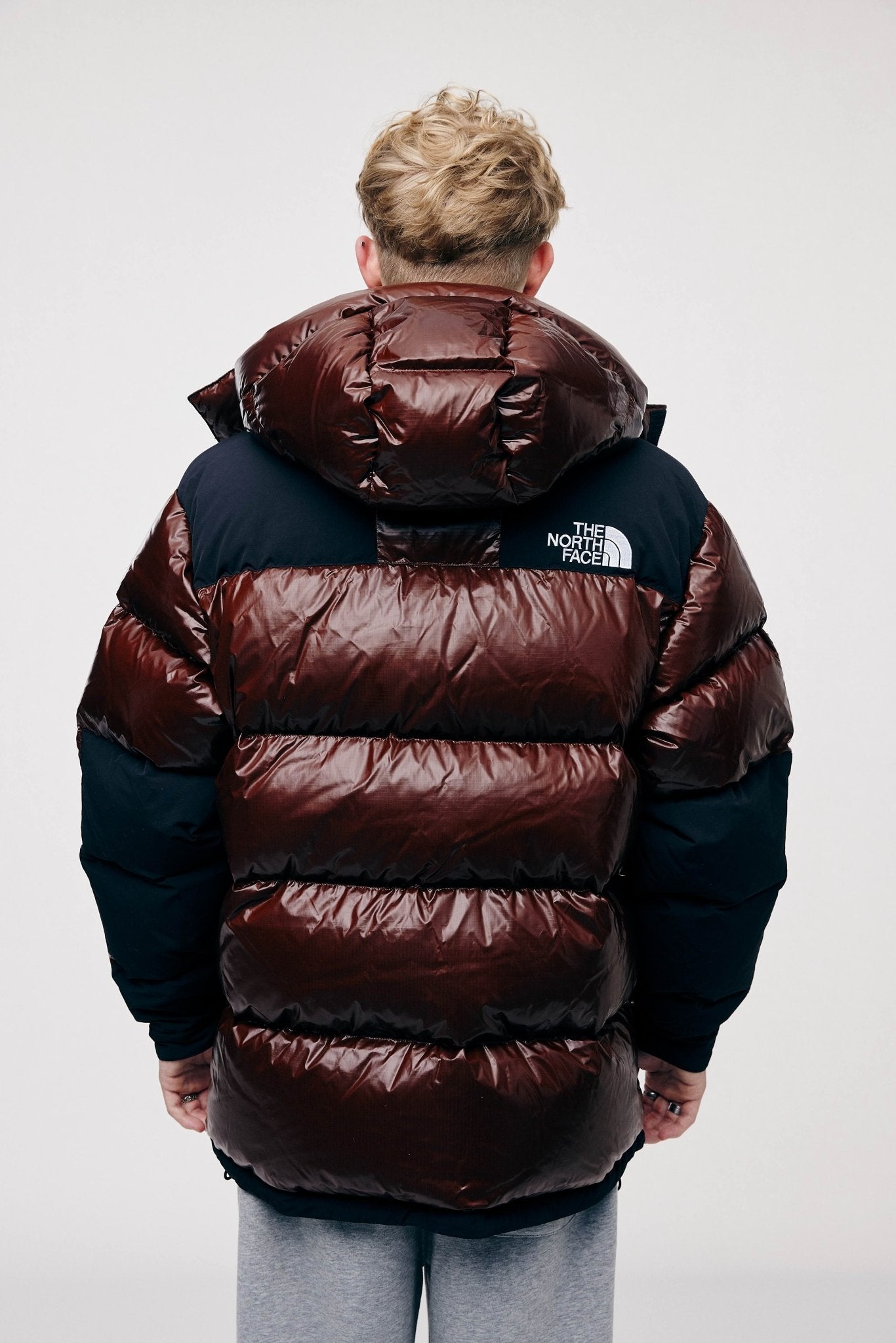 SUPREME THE NORTH FACE 700-FILL DOWN PARKA Brown